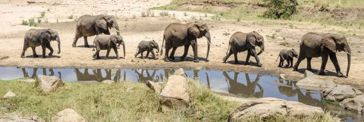serengeti national park how to visit