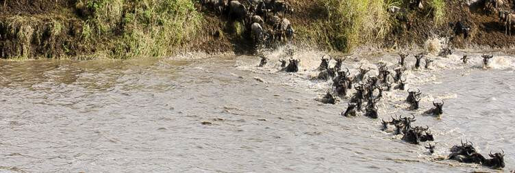 tanzania hunting safari prices