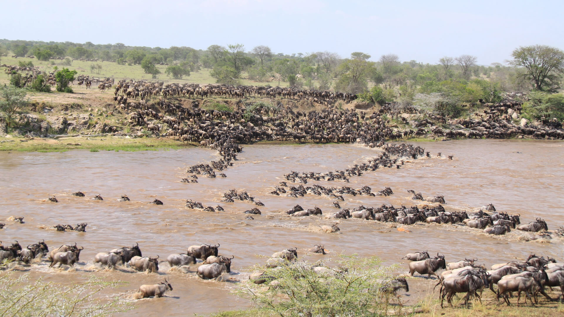 tanzania hunting safari prices