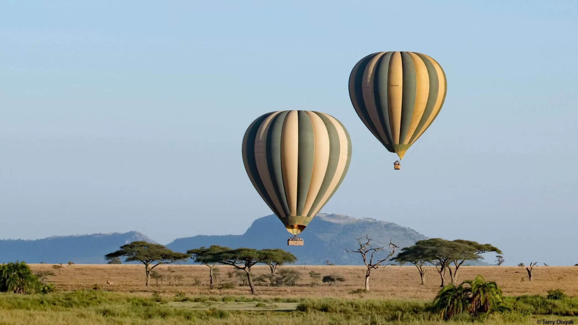 serengeti safari and zanzibar holidays