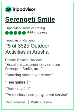 Reviews about Serengeti Smile