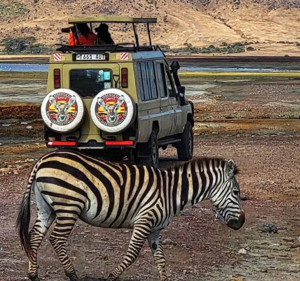 Tanzania Wildlife Safari.