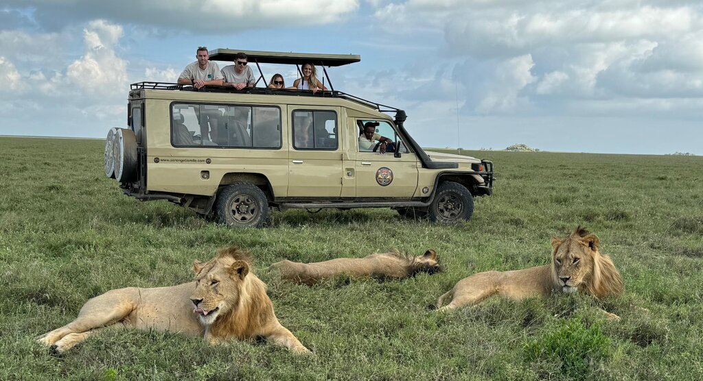 Experiencing the Serengeti.
