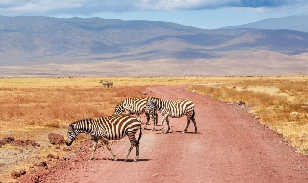 Ngorongoro Crater: Exploring a Natural Wonder in Tanzania.