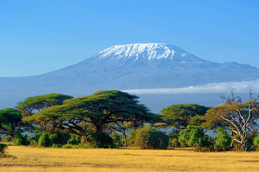 Kilimanjaro National Park, Tanzania.
